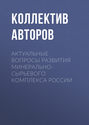 Актуальные вопросы развития минерально-сырьевого комплекса России