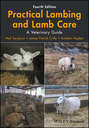 Practical Lambing and Lamb Care